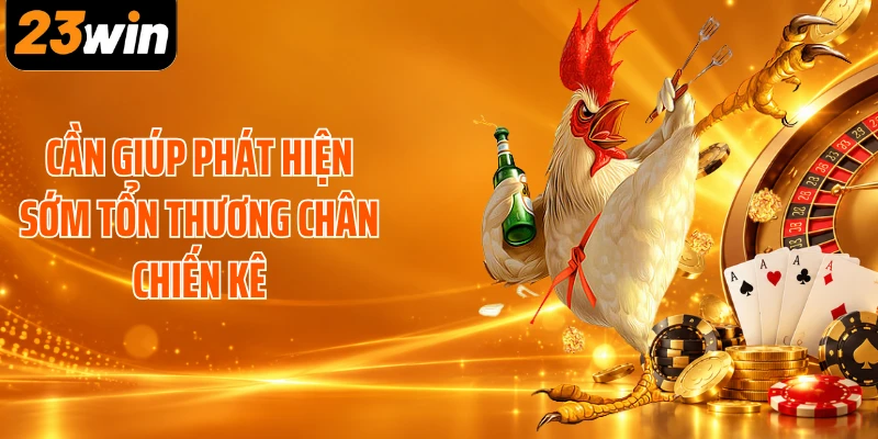 Cần giúp phát hiện sớm tổn thương chân chiến kê