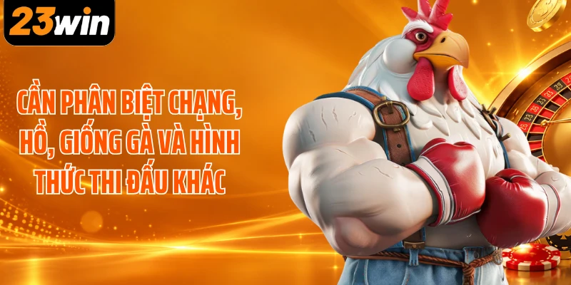Cần phân biệt chạng, hồ, giống gà và hình thức thi đấu khác