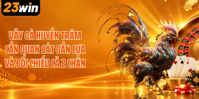 Vảy gà huyền trâm cần quan sát gần cựa và đối chiếu cả 2 chân